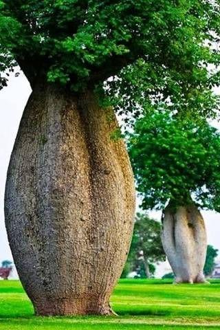 简直令人难以置信... - 美人鱼 - 美人鱼