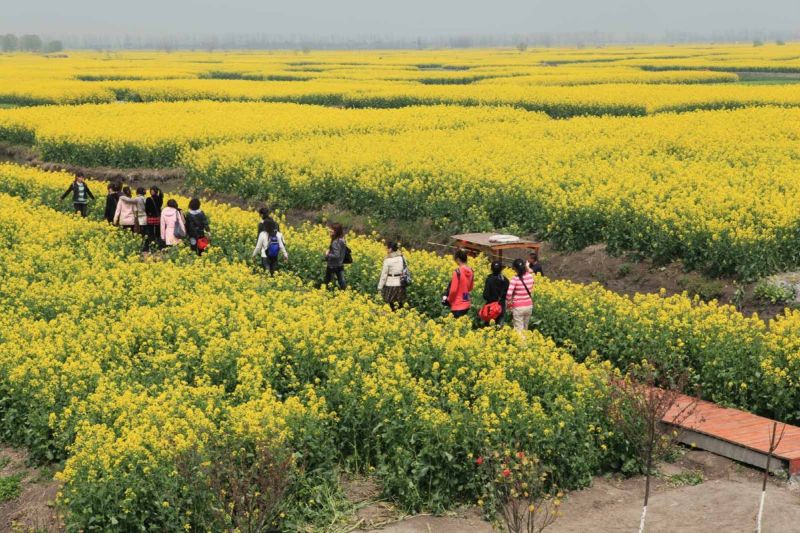 全国仅存的人民公社 无一人外出打工【图】 - 美体、情感、博文精品 - 美体情感、心灵驿站