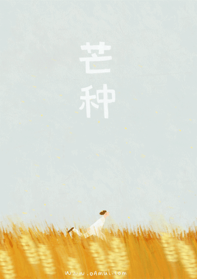 那么美，却匆匆走过 - 王凱 - 王凯的网易博客