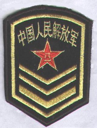 三军仪仗队空军