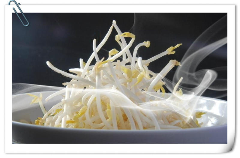 脸盆发豆芽，最简单的方法哦！ - 玉兔F  - 玉兔FEI的博客