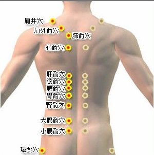 经络按摩全图 不花钱不生病的养生方法