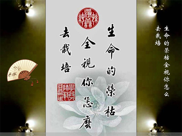 字字千金 - 心§心 - 5555博客