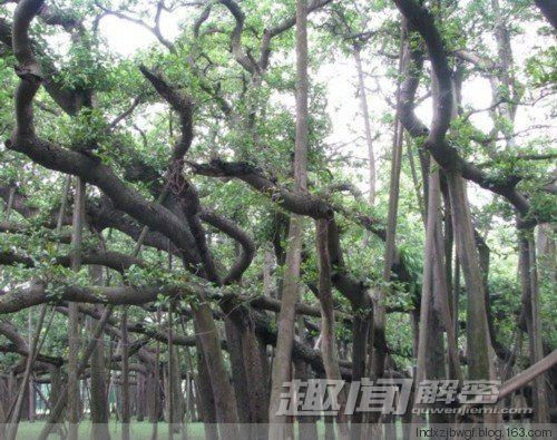 中国境内发现十大惊人奇观 - 五月风 - 五月风空间