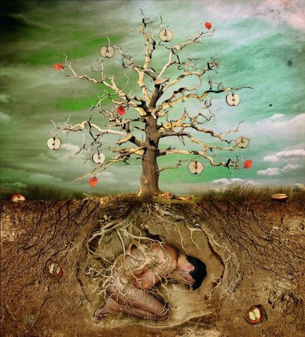 大学生必须知道的外国典故