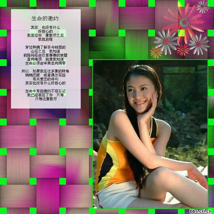 席慕容詩詞精選   - 老排长 - 老排长（6660409）