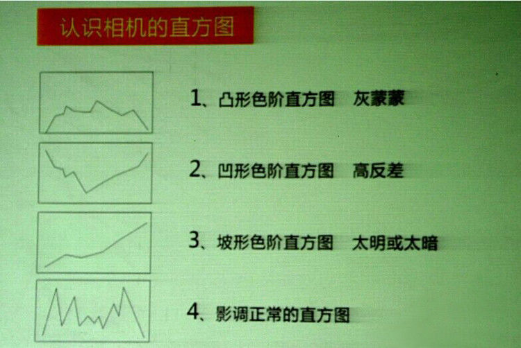摄影后期调图讲稿（一） - 老虎 - 强大才能生存