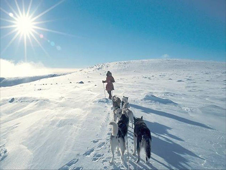 写给七十岁时的自己 - 老教授 - 老教授