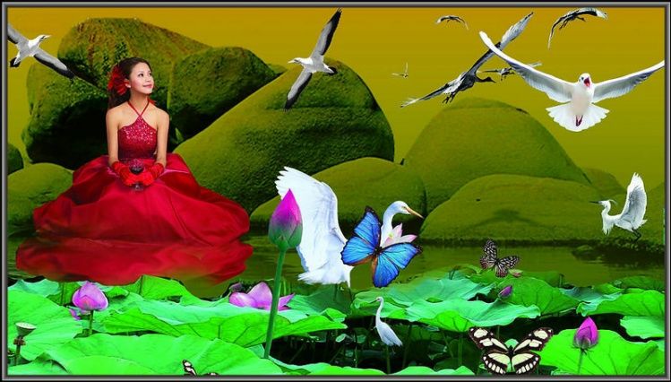 美女与鲜花系列日志背景边框13 - 心灵之约 - .