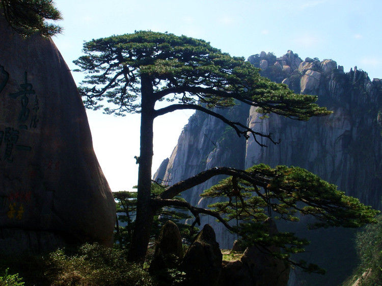 点击打开组图详情