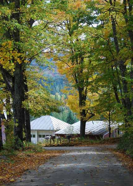 美幻绝伦：这样的农村谁不想去 - 倾城之恋 - 倾城之恋