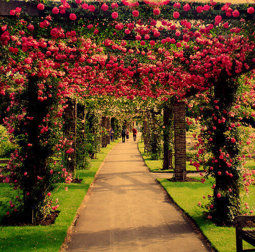 插画心语：遗忘就是我们给彼此最好的纪念| jiaren.org