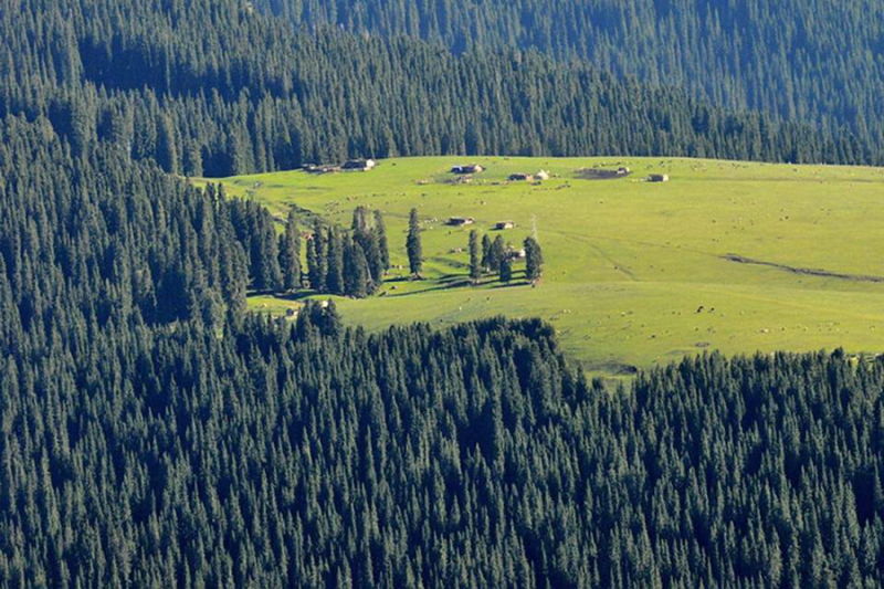 FJ073新疆美丽的高山牧场【26】 - PPT园地 - 永平的博客