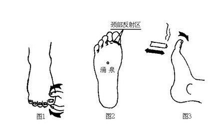 人体常用穴位及功用 - 铜雀台 - .