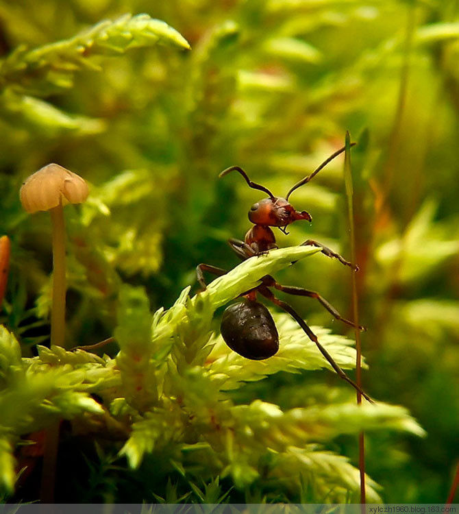 美！美的令人无法呼吸 - 色影无忌 - 色影无忌的博客
