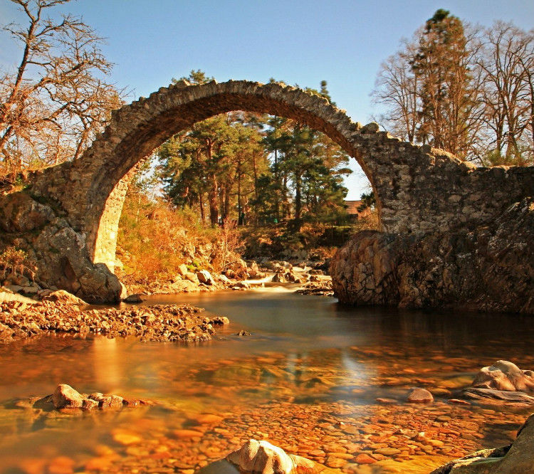 中外桥梁  美景大全 -
