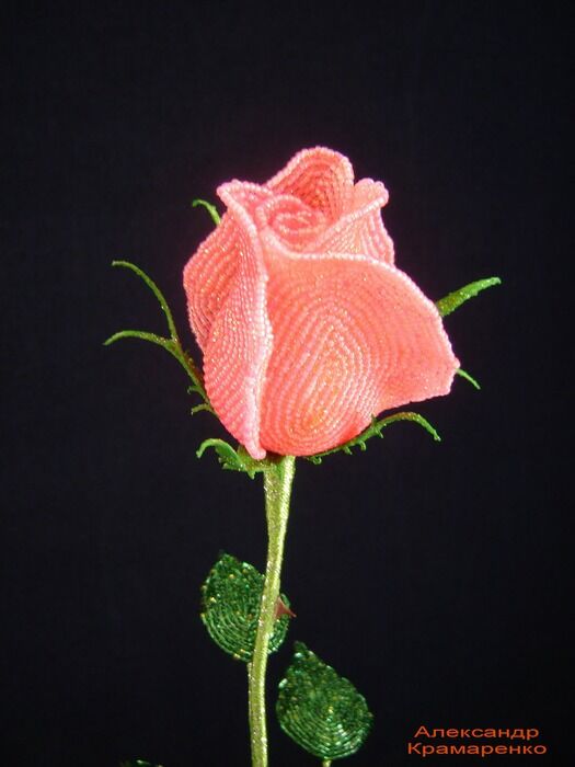 DSC00007 (525x700, 61Kb)