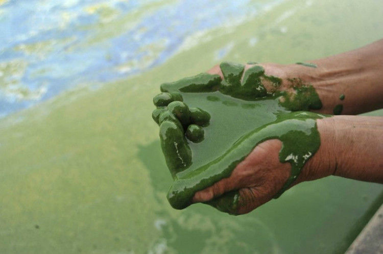 中国制造业发展的代价 - 酒鬼鼠  - 酒鬼鼠
