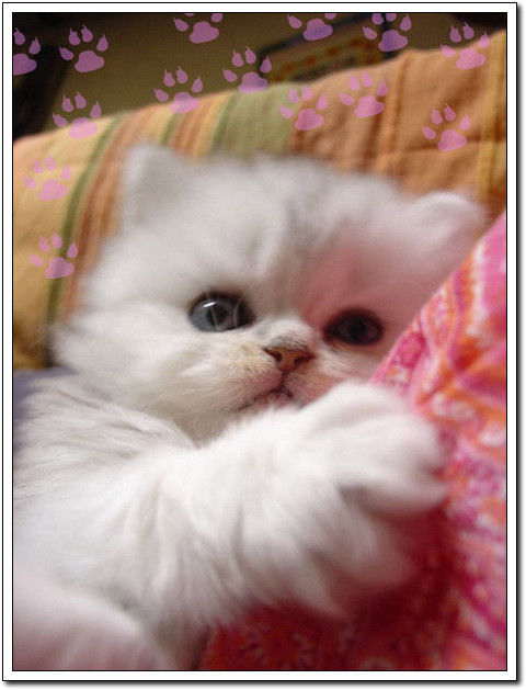 周末要轻松！【幽默图片50P】 - 無為居士 - 聚美齋