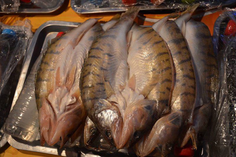 布尔津的夜市不容错过 - 木子弓长 - 驴游记