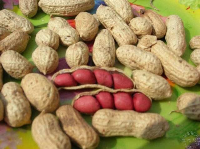 根治白头发小偏方 - 春雨 -    春 雨 伊 甸 园