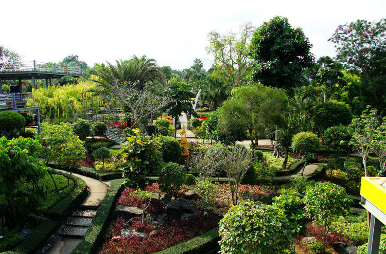 【引用】нуч花园轩弄。泰国 - 枫林傲然 -                  .