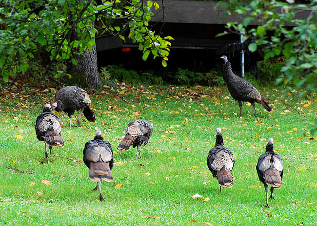 美幻绝伦：这样的农村谁不想去 - 倾城之恋 - 倾城之恋