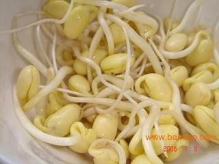 十种蔬果坚决不能吃的部位！！ - 吴锡安（亚亚） - 吴锡安的博客（亚亚）