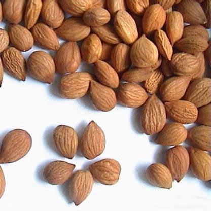 生病少吃药 15种食物惊人疗效(资料图) 