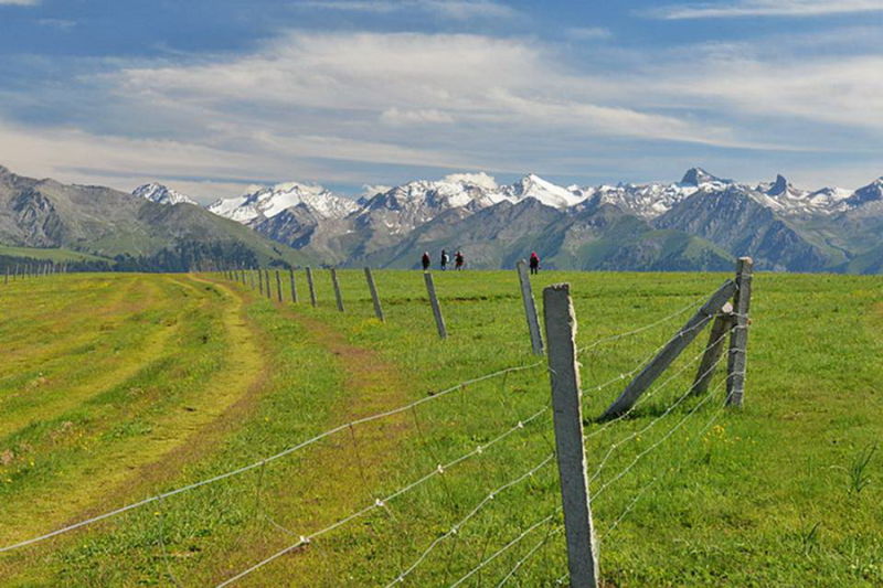 FJ073新疆美丽的高山牧场【26】 - PPT园地 - 永平的博客