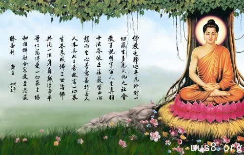 中国点击率最高的文章（经典啊 ）