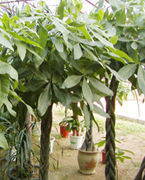 找准你家的财位！金钱来找你，挡也挡不住 - 吝色鬼 - 吝色鬼 的博客