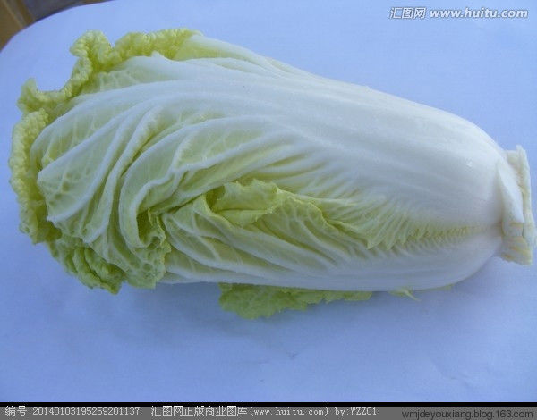 白菜的可怕，您绝对想不到！ - 欢迎光临心灵牧场！ - 人生如戏 戏品人生 笑傲人生 享受人生