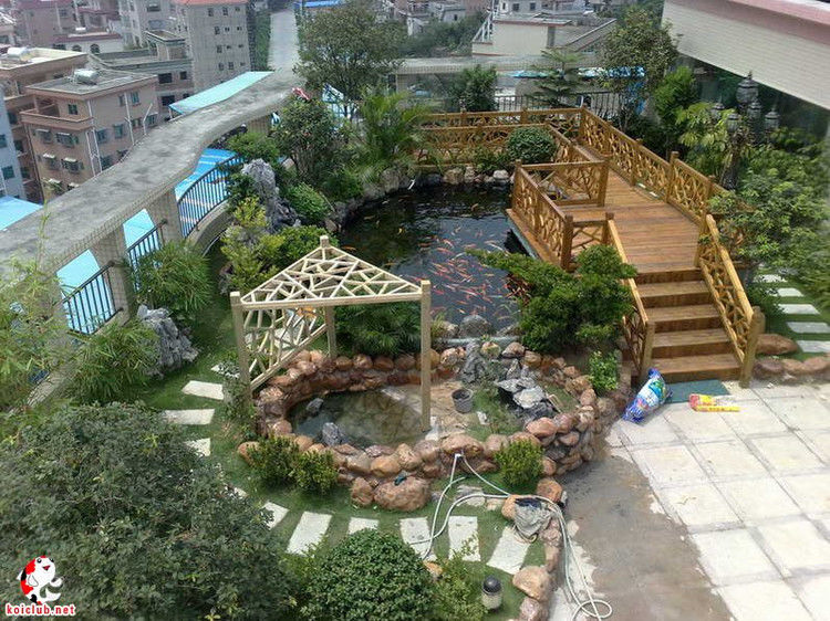 家庭园林4 - tjq6223 - tjq6223的博客