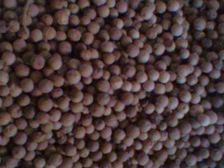 白胡椒[别名；浮椒，玉椒。]功能；温中散寒，行气止痛。作用；驱腥增香，胡辣。