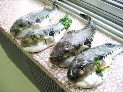 生病少吃药 15种食物惊人疗效(资料图) 