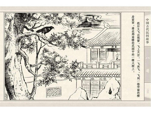 八哥 - shunlin01 - 美术资料与连环画