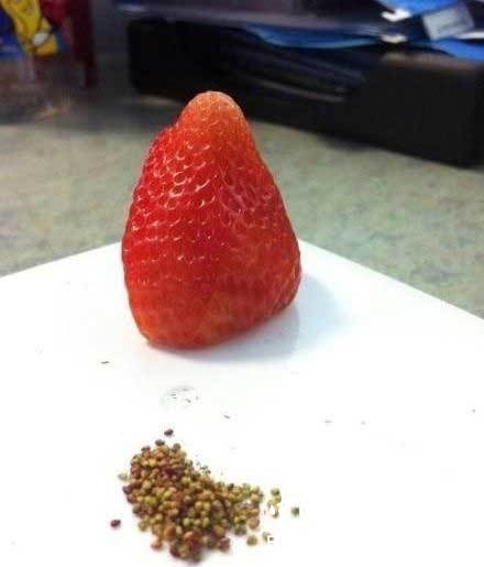神吃貨,美食竟然還能這樣吃。