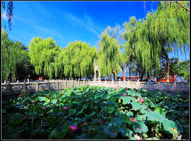 杭州湾风光 - 飞春 - 飞春博客