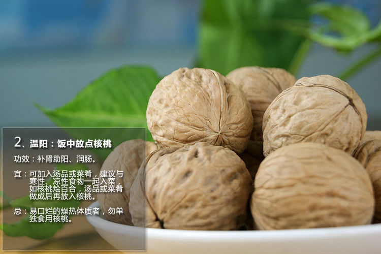 十五种中药最养生 - 锦锦 - 红歌姐姐