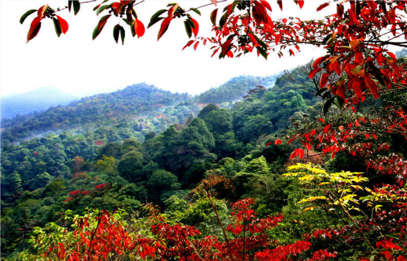 中国112座名山欣赏（一） - 空谷幽兰 - 空谷幽兰憩居