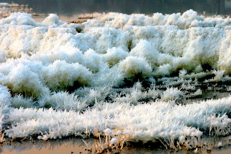 罕见的盐湖硝花【原创】 