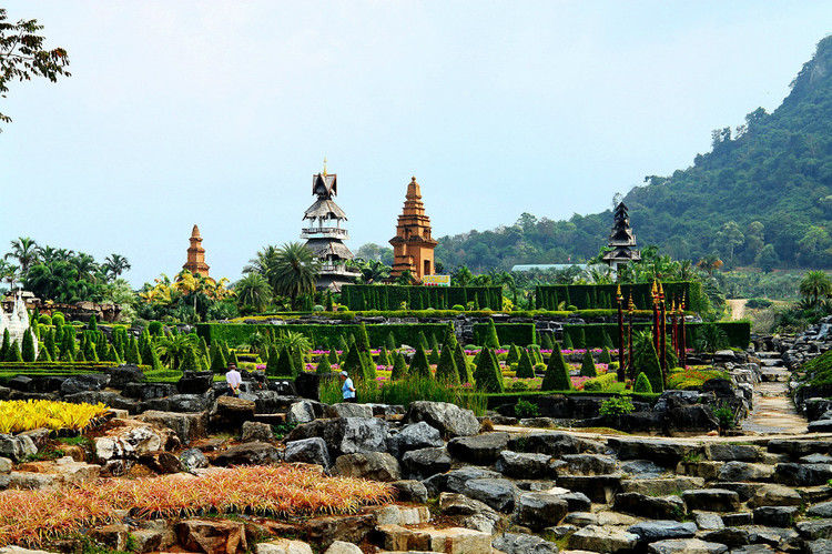 【引用】нуч花园轩弄。泰国 - 枫林傲然 -                  .