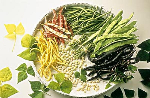 16个降血糖能手食品 - 空谷幽兰 - 空谷幽兰憩居