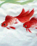 找准你家的财位！金钱来找你，挡也挡不住 - 吝色鬼 - 吝色鬼 的博客