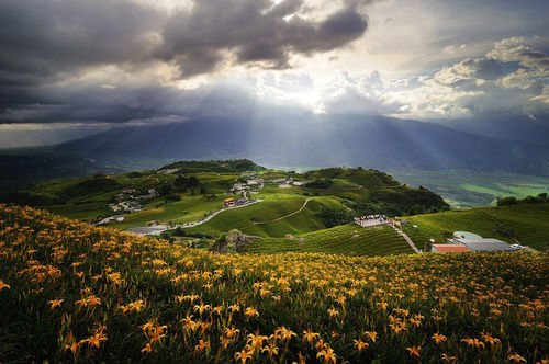 黑卡达人心得：追求极致的细节