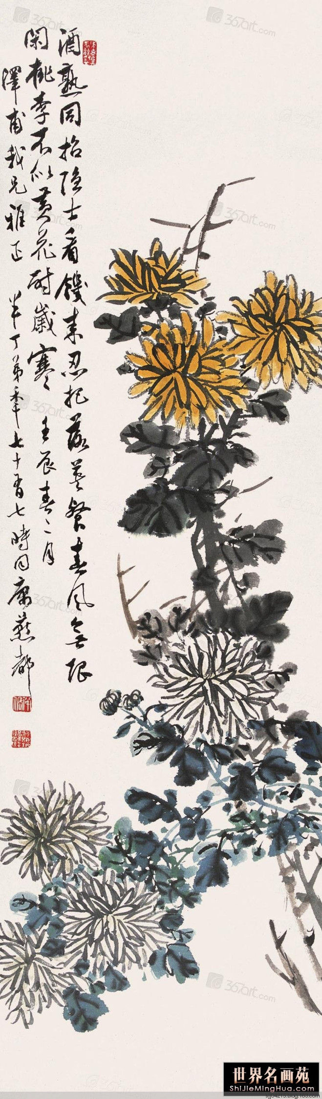 陈半丁 菊花作品精选集（3） - 云破月来花弄影 - 云破月来花弄影