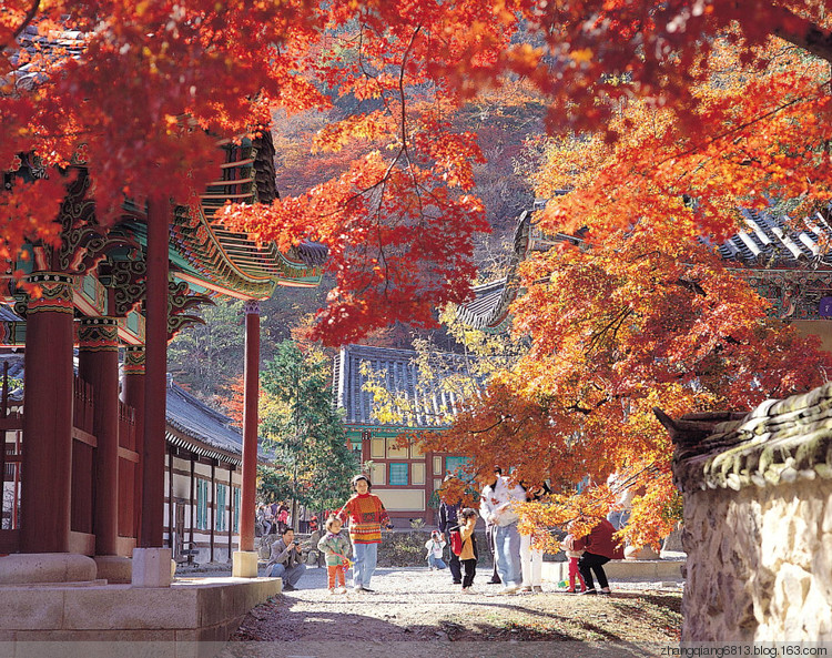 中国百大寺庙全集 -