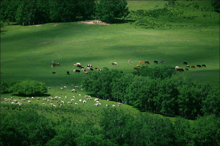 令人心醉的美！不看对不起自己的眼睛！ - 博爱友爱 - 博爱友爱