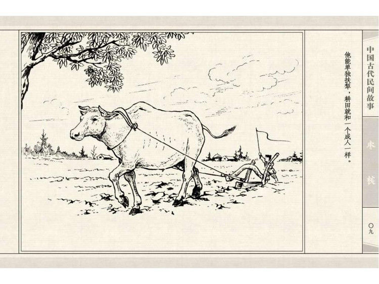 枣核 - shunlin01 - 美术资料与连环画